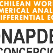 Third Chilean Workshop on Numerical Analysis of Partial Differential Equations, WONAPDE 2010