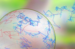 Probability and Ergodic Theory