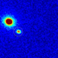 CMM Astronomy Lab breaks its own record and detects 61 real-time supernova explosions