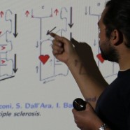 Multidisciplinary meeting analyzes newest research in mathematical modeling for biomedicine in Chile