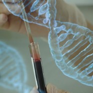 CMM researchers took part on first sequencing of chilean genomes