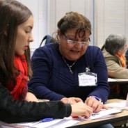 Language Teachers join ARPA’s work this 2017