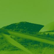 4th French-Chilean Workshop on Bioprocess Modeling
