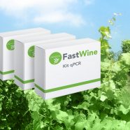 FastWine in the Latin America’s top ten most innovative product for viticulture
