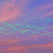 Workshop on Stochastic Analysis applied to economics, finance and insurance