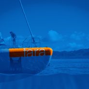 Tara 2017 – South America Regional Seminars