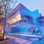 Workshop on Dynamics and Algorithms in Convex Optimization