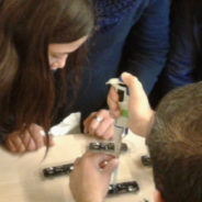 Students from ten schools will sequence pill bugs in contest by 1000 Genomas Chile