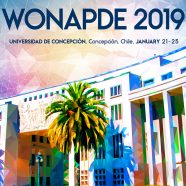 Sixth Chilean Workshop on Numerical Analysis of Partial Differential Equations (WONAPDE 2019)
