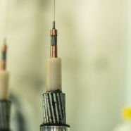 Fibra óptica austral: La red que conecta la Patagonia con la ciencia mundial