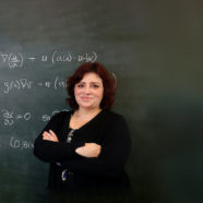 Investigadora del Centro de Modelamiento Matemático expone en la Academia Nacional de Ciencias de Estados Unidos