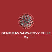 Científicos nacionales realizan mapeo de información genómica del SARS-CoV-2