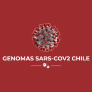 Científicos nacionales realizan mapeo de información genómica del SARS-CoV-2