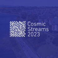 Unveiling the dynamic universe: cosmic streams in the era of Rubin