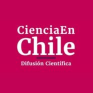 Ciencia En Chile: El Amazonas del océano: Descubren bosques submarinos que capturan carbono en Chile