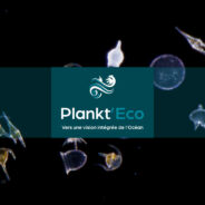 SAVE THE DATE: Launch of Plankt’Eco project