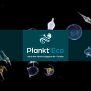 SAVE THE DATE: Launch of Plankt’Eco project