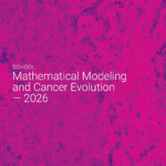 Summer Course: Mathematical Modeling and Cancer Evolution 2026